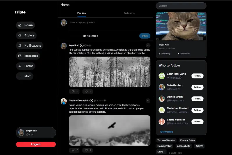 Triple App Website preview